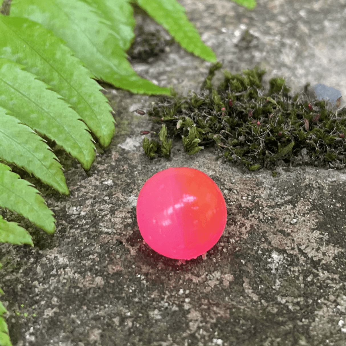 Softbeads-5050RedRoe-Gallery3