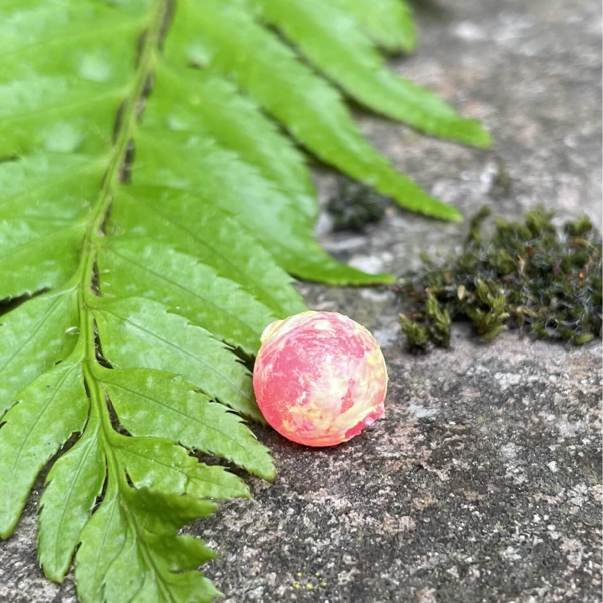 Softbeads-Joker-Gallery3-BNR