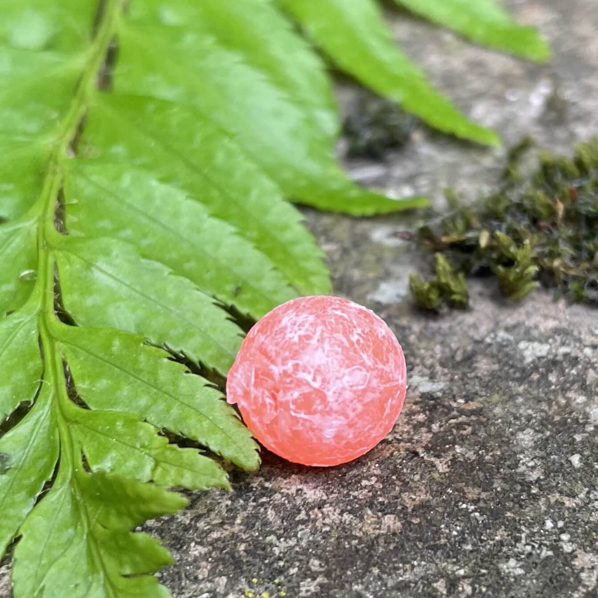 Softbeads-NWSteelheaders-Gallery3-BNR