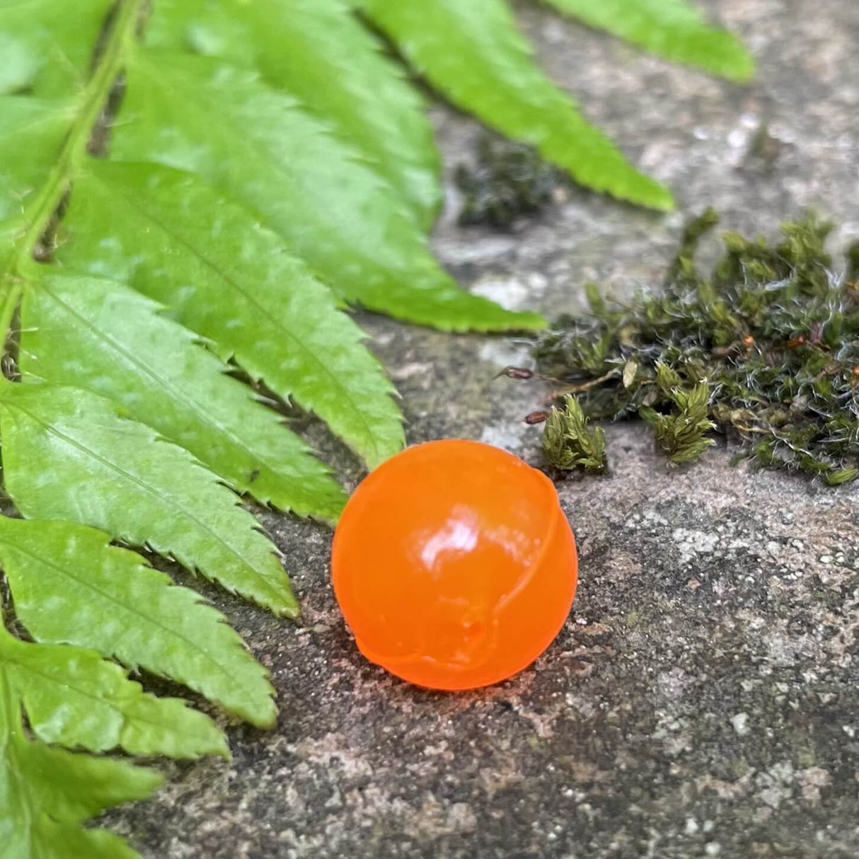 Softbeads-RoeEditionRoeLight-Gallery3-BNR