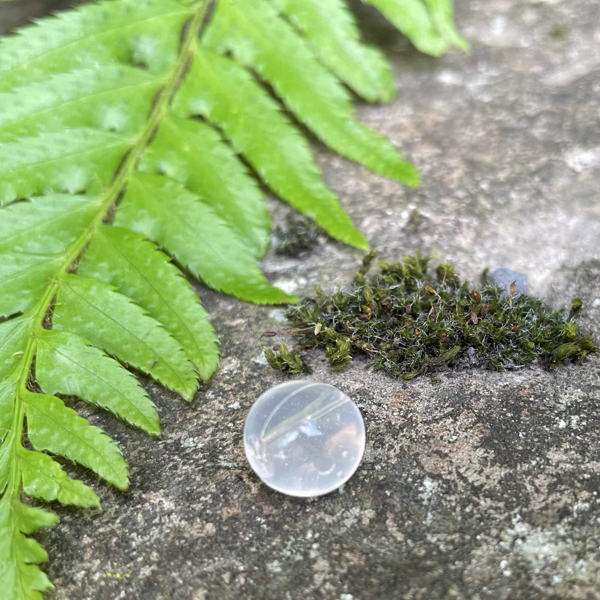 Softbeads-Scheele Ice-Clear-Gallery3-BNR