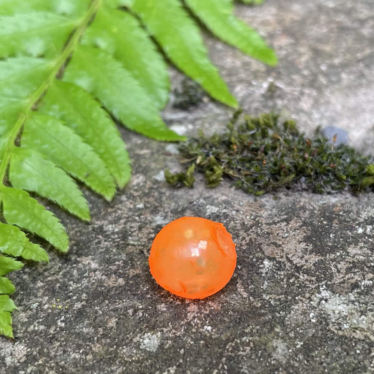 Softbeads-Stargazer-Gallery3-BNR