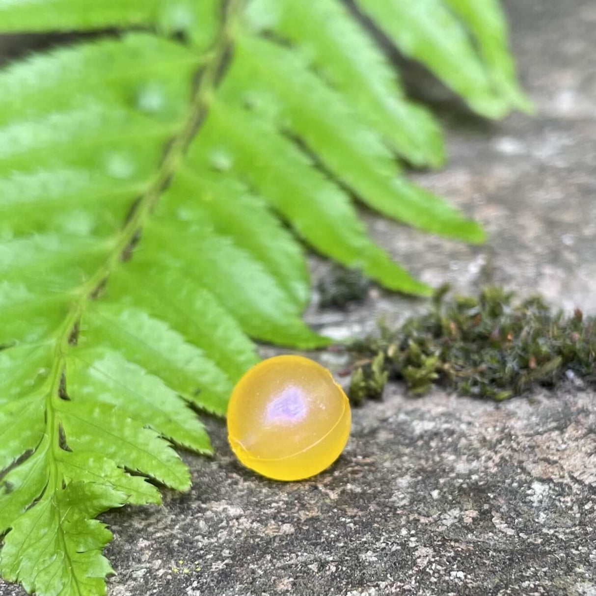 Softbeads-YellerRoe-Gallery3-BNR