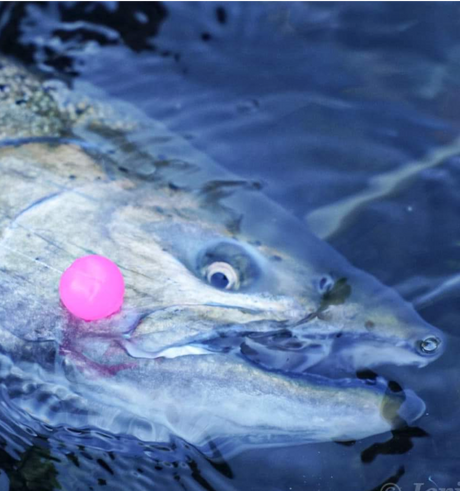 Fishing with Soft Beads | Your Bead Guide