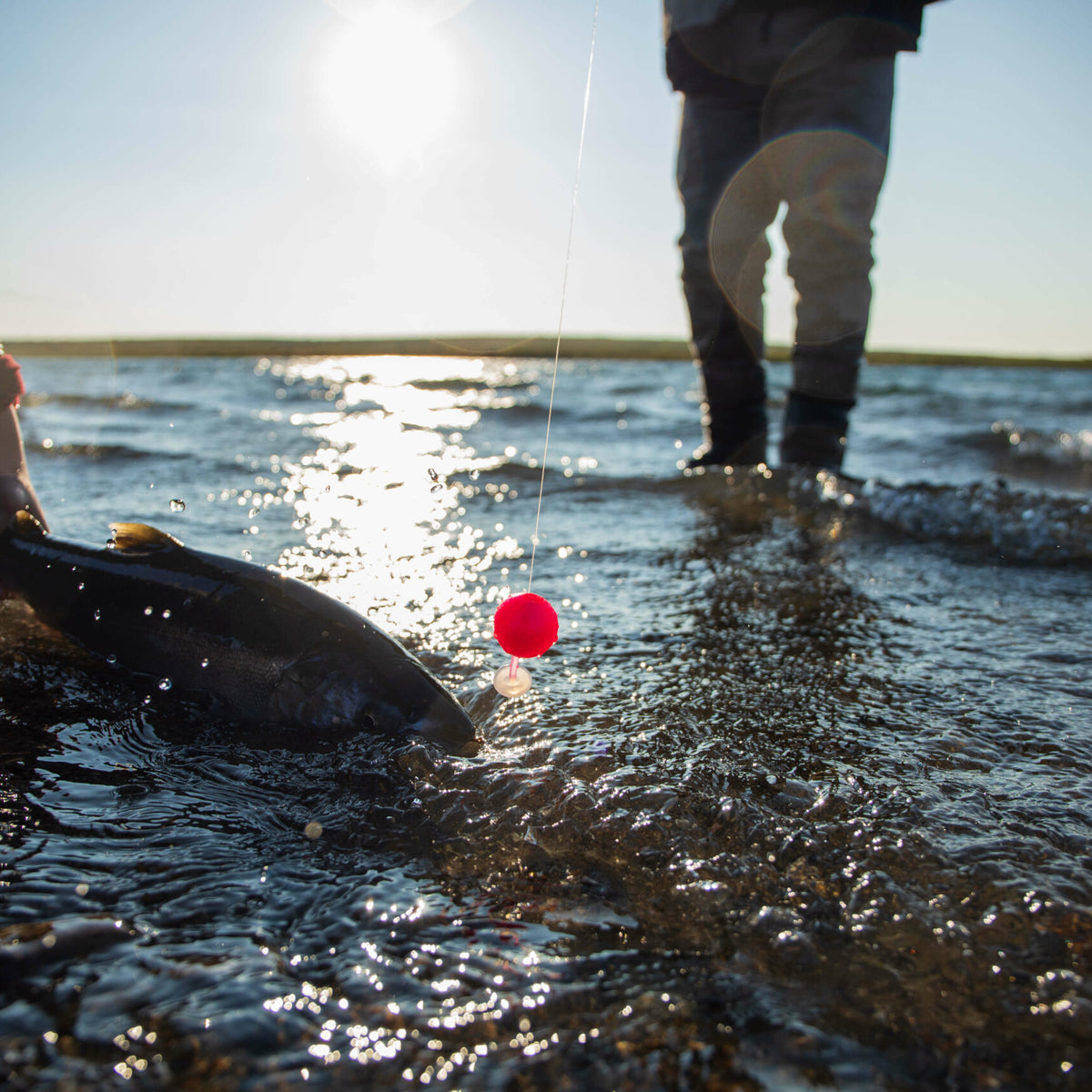 How to Target Salmon and Steelhead with Bobber Dogging BNR Tackle