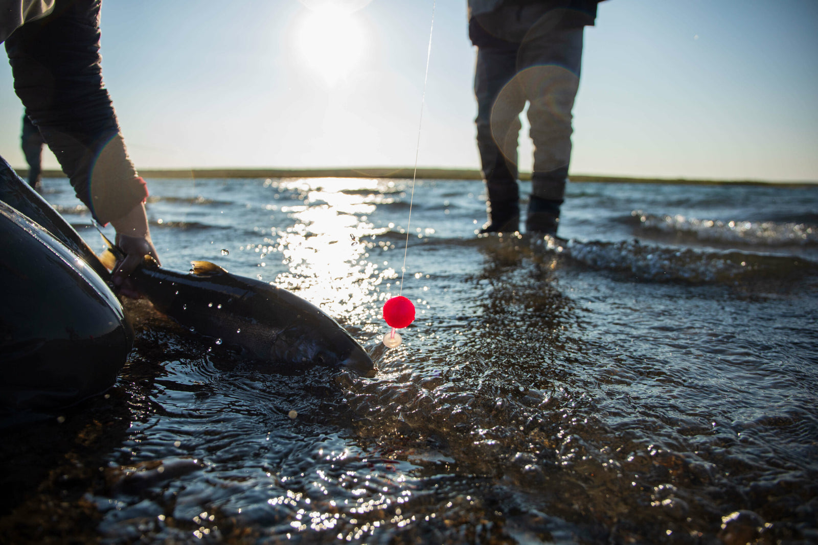 How to Target Salmon and Steelhead with Bobber Dogging