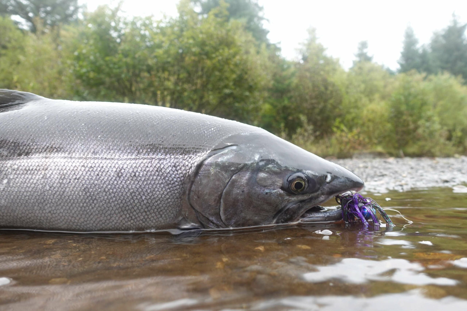 How to Use The Twitching Jig Method