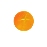 2026 SHOW BEAD - BLT