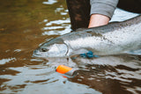 FREE Slider Float - Bobber Doggin Horizontal