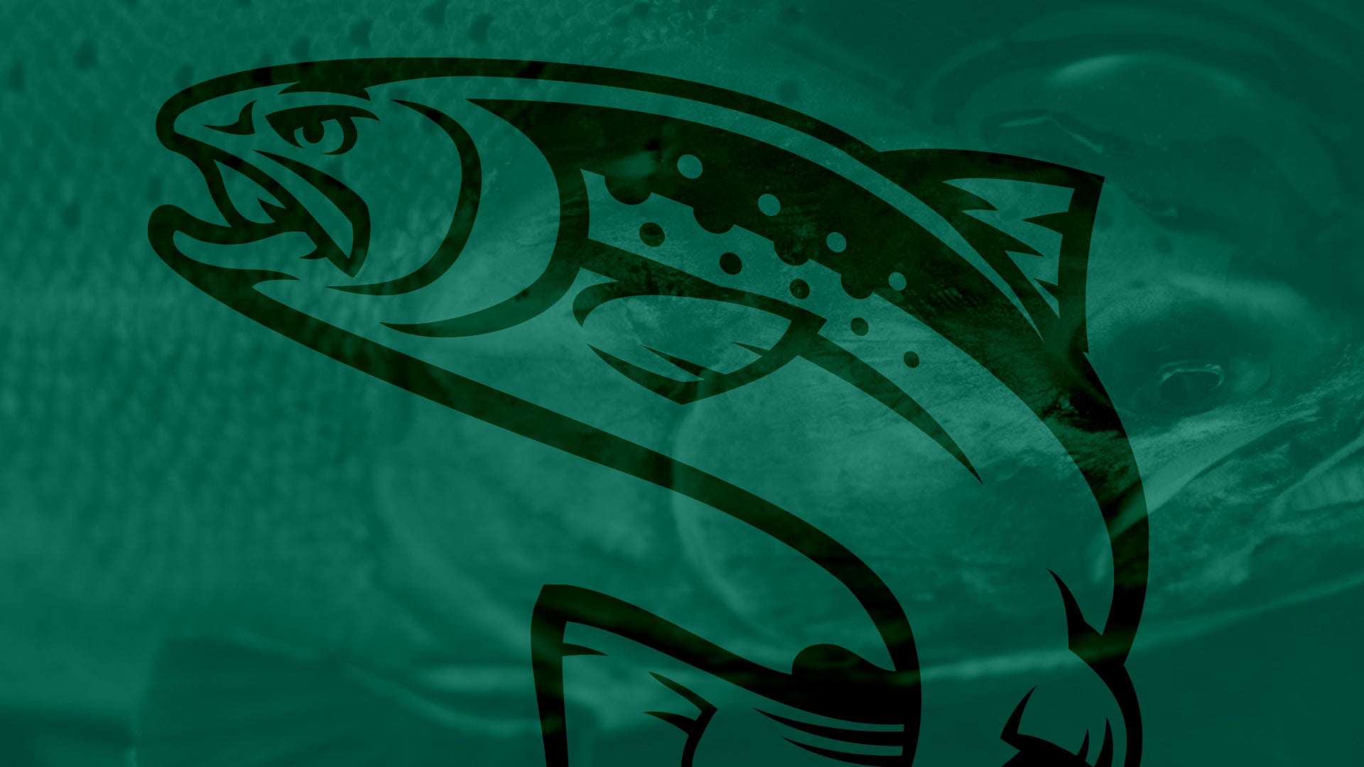 Wholesalers – BNR Tackle