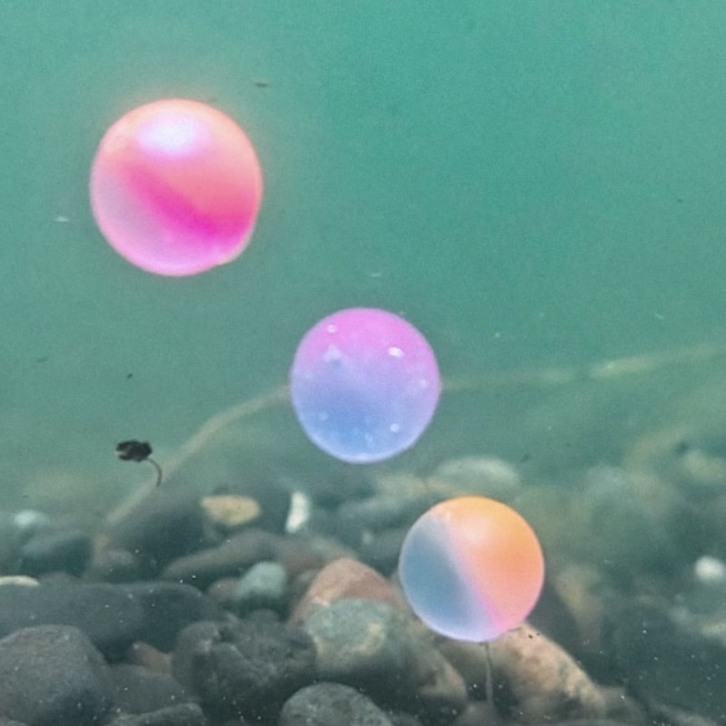 Soft Bead - Cherry Blue – BNR Tackle