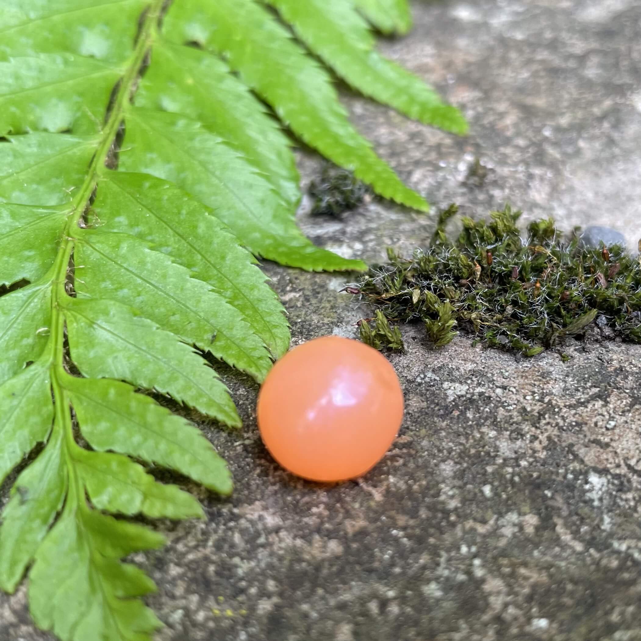 Soft Bead - Peach Gobbler – BNR Tackle